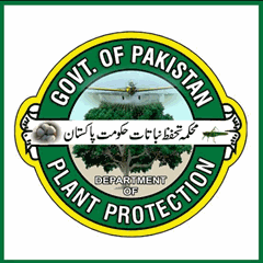 Department of Plant Protection